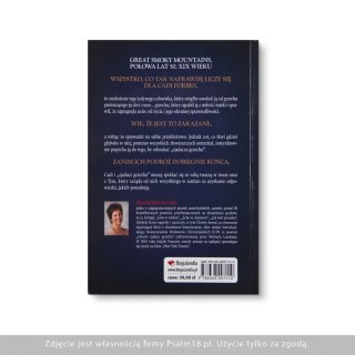 Ostatni zjadacz grzechu - Francine Rivers