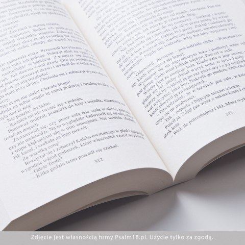 PAKIET PREZENTOWY: Znamię Lwa Trylogia - Francine Rivers - Głos w wietrze + Echo w Ciemności + Jak świt poranka + Mapa PAKIET PREZENTOWY: Znamię Lwa Trylogia - Francine Rivers - Głos w wietrze + Echo w Ciemności + Jak świt poranka + Mapa