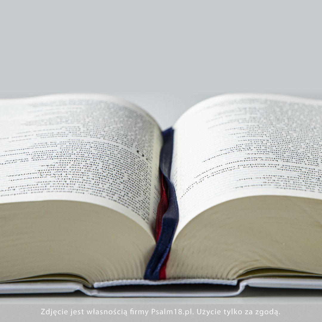 Pismo Święte ST i NT - format standardowy, oprawa twarda, paginatory - BIBLIA Pismo Święte ST i NT - format standardowy, oprawa twarda, paginatory - BIBLIA