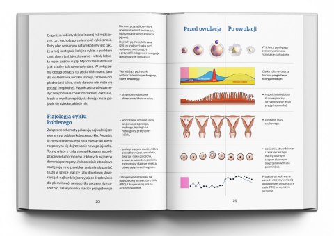 Ebook: TO NIE JEST BABSKA SPRAWA! Co każdy mężczyzna powinien wiedzieć o planowaniu rodziny - Piotr Wołochowicz [MOBI/EPUB]
