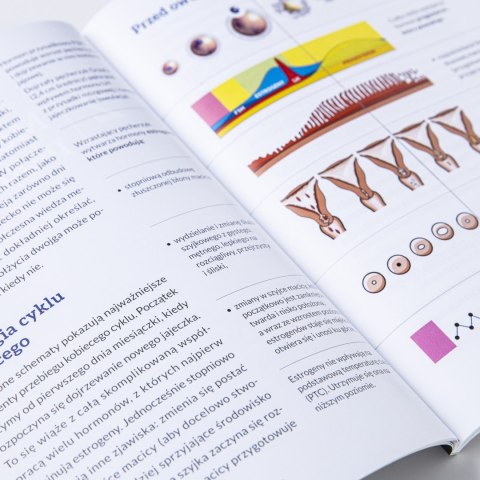 Ebook: TO NIE JEST BABSKA SPRAWA! Co każdy mężczyzna powinien wiedzieć o planowaniu rodziny - Piotr Wołochowicz [MOBI/EPUB]