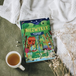 Niezwykły – 100 opowiadań o Bogu i nauce - Louie Giglio