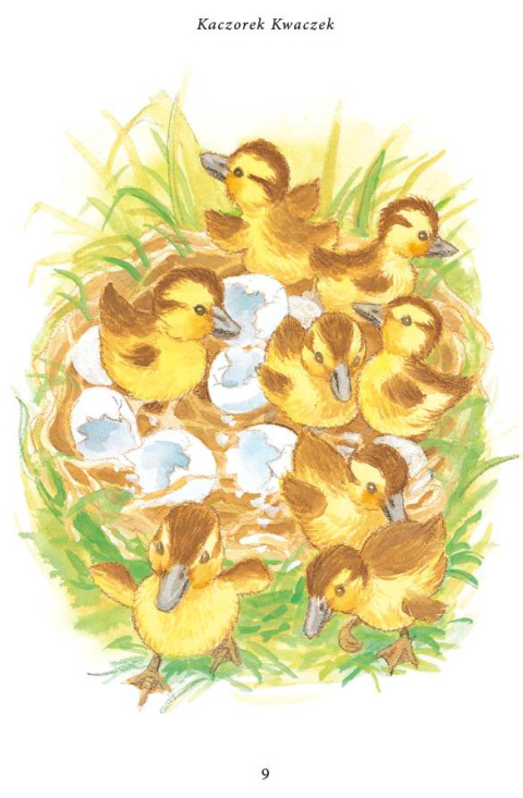 Ebook: KACZOREK KWACZEK i lekcja pokory - Janette Oke [MOBI/EPUB]