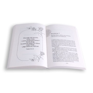 BOSKI PLAN - Zaufać Bogu na życiowych zakrętach - Kristen Clark, Bethany Beal