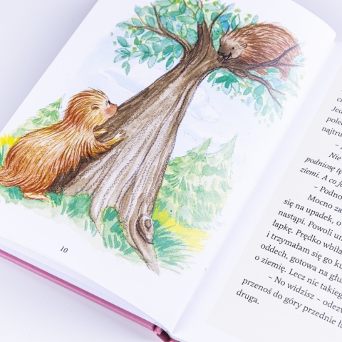 Ebook: JEŻOZWIERZ i nauka odwagi - Janette Oke [EPUB/MOBI]