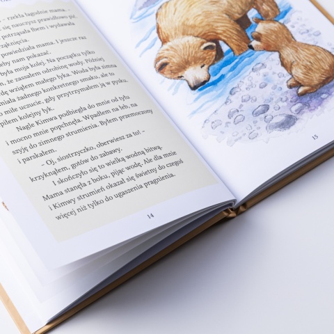 Ebook: NIEDŹWIADKI i życiowe odkrycia - Janette Oke [EPUB/MOBI]