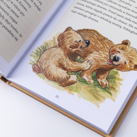 Ebook: NIEDŹWIADKI i życiowe odkrycia - Janette Oke [EPUB/MOBI]