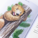 Ebook: NIEDŹWIADKI i życiowe odkrycia - Janette Oke [EPUB/MOBI]