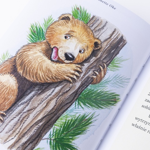 Ebook: NIEDŹWIADKI i życiowe odkrycia - Janette Oke [EPUB/MOBI]