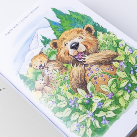 Ebook: NIEDŹWIADKI i życiowe odkrycia - Janette Oke [EPUB/MOBI]