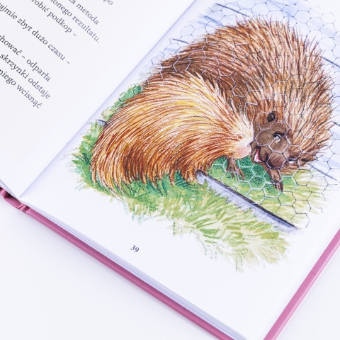 Audiobook: JEŻOZWIERZ i nauka odwagi - Janette Oke [PLIKI MP3]