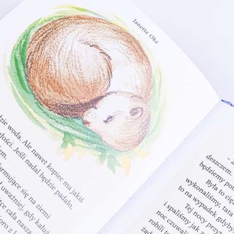 Audiobook: PIESEK PRERIOWY i szkoła życia - Janette Oke [PLIKI MP3]