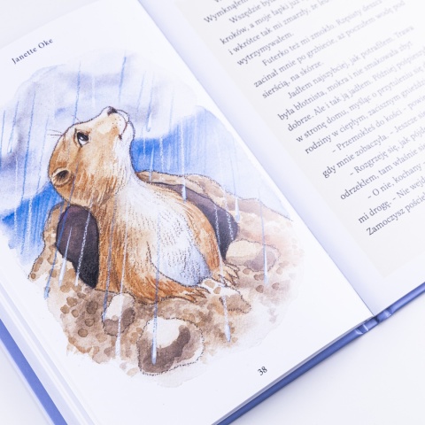 Audiobook: PIESEK PRERIOWY i szkoła życia - Janette Oke [PLIKI MP3]