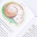 Ebook: PIESEK PRERIOWY i szkoła życia - Janette Oke [EPUB/MOBI]