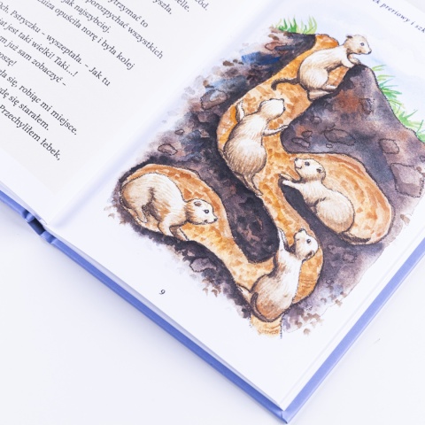 Ebook: PIESEK PRERIOWY i szkoła życia - Janette Oke [EPUB/MOBI]