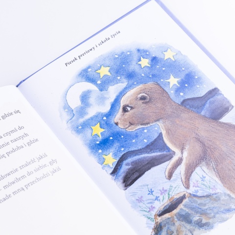 Ebook: PIESEK PRERIOWY i szkoła życia - Janette Oke [EPUB/MOBI]