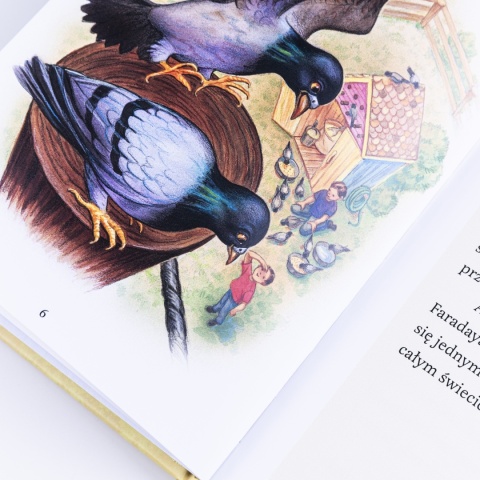 KOLOROWY GOŁĘBNIK i kwestia przyjaźni - Janette Oke