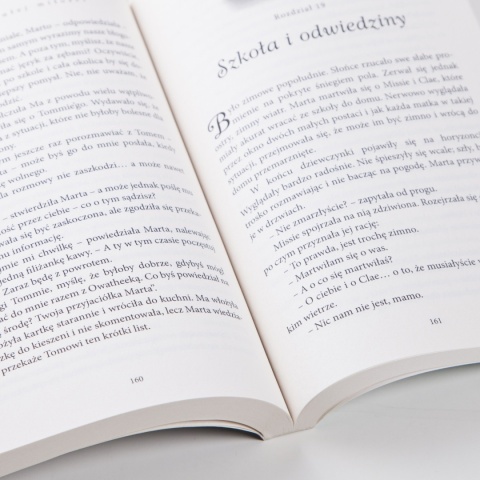 Obietnica trwałej miłości - JANETTE OKE - NOWE WYDANIE (Seria: Miłość przychodzi łagodnie 2)